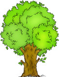 E:\Работа\Підготовка до уроків\5 клас\Образотворче мистецтво\Як скомпонувати малюнок в обраному форматі\248-2481425_clipart-png-tree-clipart-clipart-images-forest-theme.png